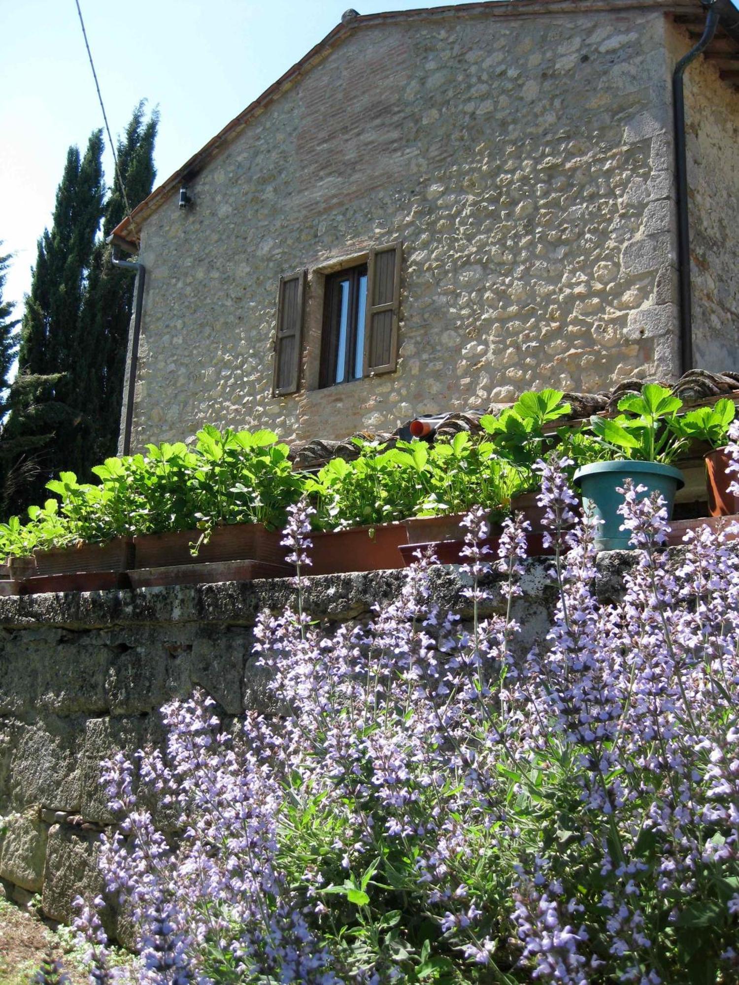 Agriturismo Il Caio Четона Екстериор снимка
