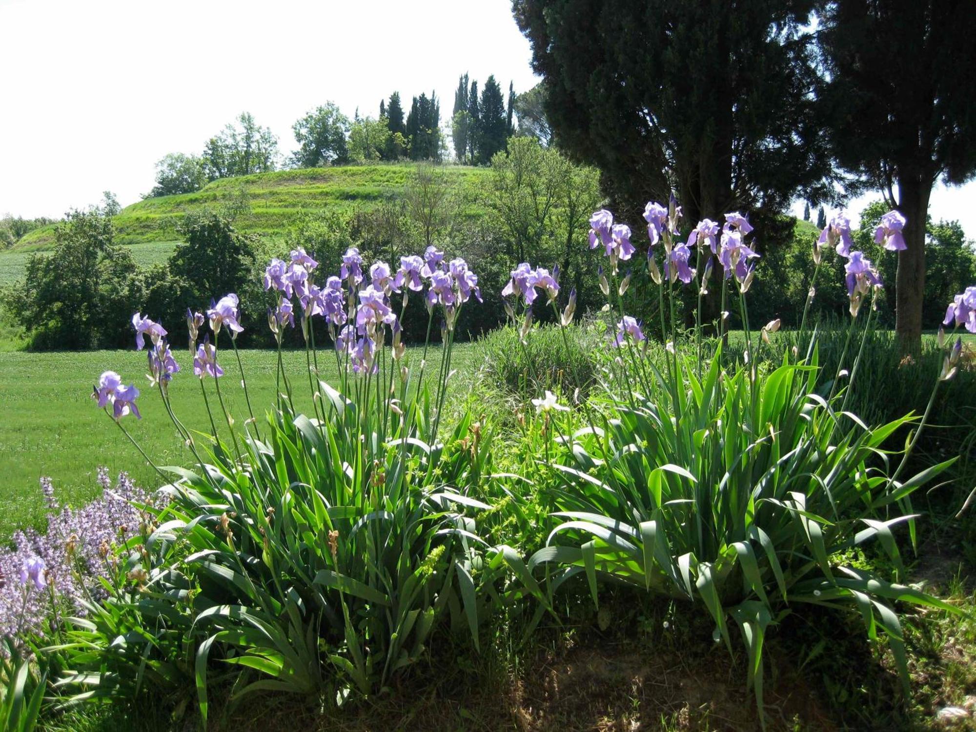 Agriturismo Il Caio Четона Екстериор снимка