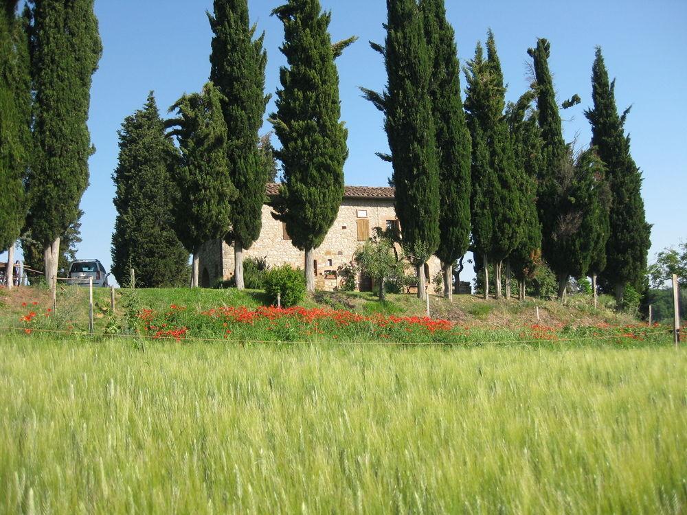 Agriturismo Il Caio Четона Екстериор снимка
